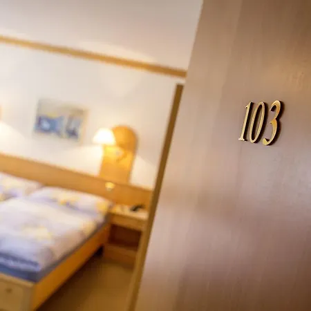 Hotel Alpenhof Hotel 3*
