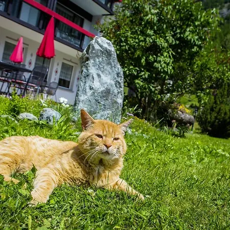 Alpenhof Hotel Saas-Almagell