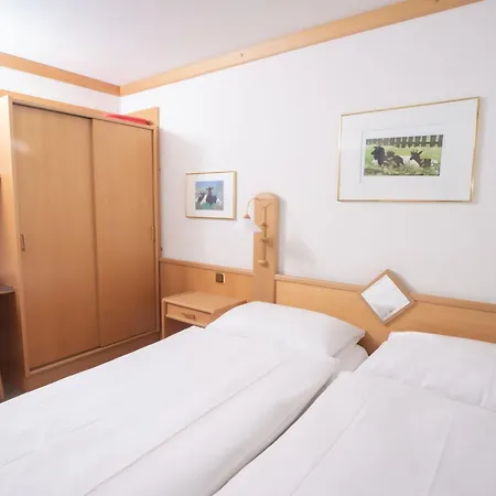 Hotel Alpenhof 3*