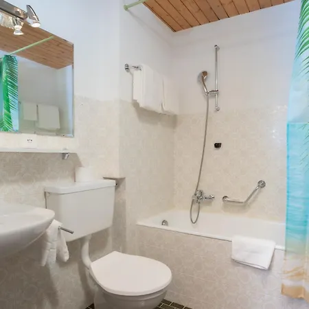Hotel Alpenhof 3*