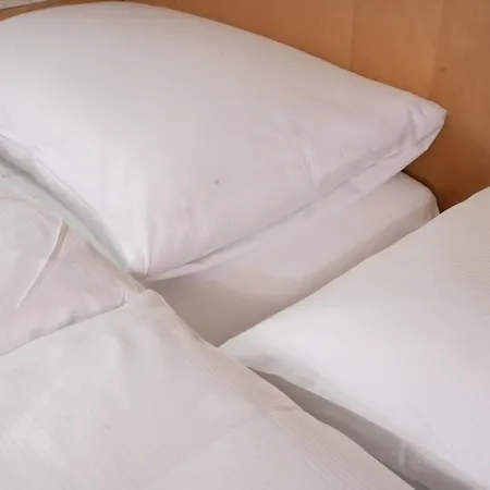 Alpenhof Hotel 3*