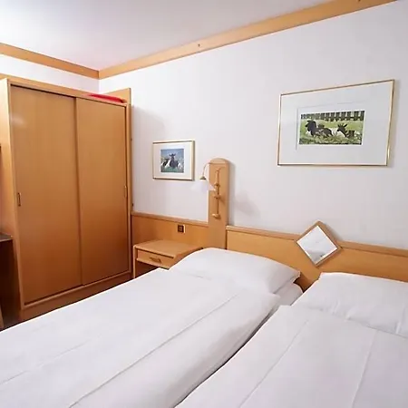 Alpenhof Hotel 3*