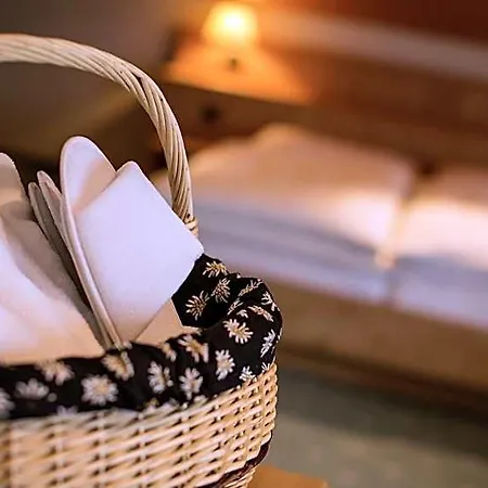 Hotel Alpenhof 3*