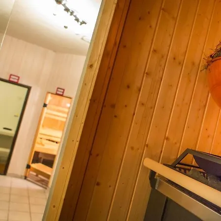 Hotel Hotel Alpenhof Saas-Almagell