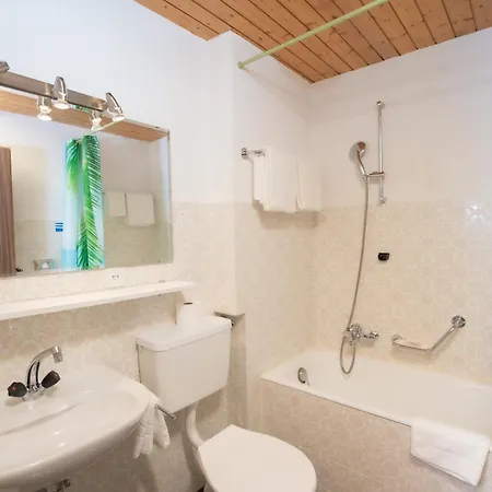 ホテル Alpenhof 3*