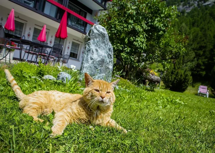 Alpenhof Szálloda Saas-Almagell
