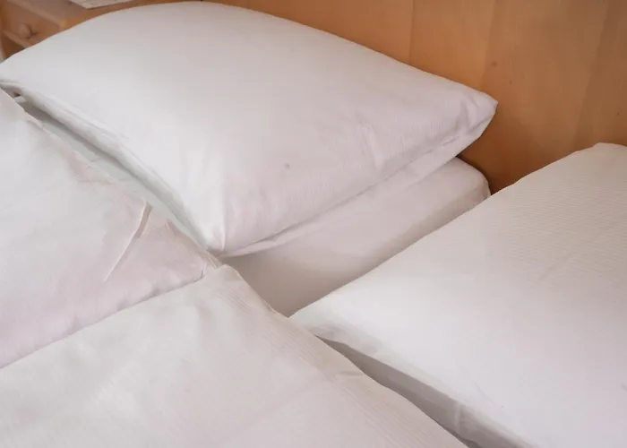 Alpenhof Szálloda 3*